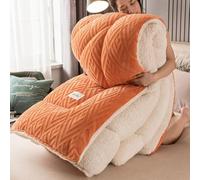 DMBAOD Warm Double-Sided Velvet Quilt Plush Comforter,Thickened Lamb Cashmere Warm Quilt Core, Breathable Fluffy Thick Wintering Warm Quilt G 200x230cm 5kg