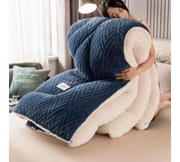 DMBAOD Warm Double-Sided Velvet Quilt Plush Comforter,Thickened Lamb Cashmere Warm Quilt Core, Breathable Fluffy Thick Wintering Warm Quilt F 150x200cm 3.5kg