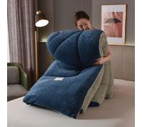 DMBAOD Warm Double-Sided Velvet Quilt Plush Comforter,Thickened Lamb Cashmere Warm Quilt Core, Breathable Fluffy Thick Wintering Warm Quilt B 220x240cm 5kg