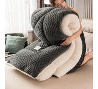DMBAOD Warm Double-Sided Velvet Quilt Plush Comforter,Thickened Lamb Cashmere Warm Quilt Core, Breathable Fluffy Thick Wintering Warm Quilt E 150x200cm 3kg