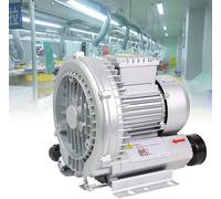 DMBBSAPBSH Regenerative Blower, 220V/380V Electric Air Pump For Sewage Aeration Aquarium Fish Pond, For Factory And Basement Ventilation(250W/220V)