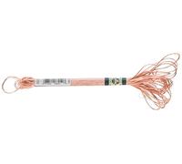 DMC 1008F-S352 Shiny Radiant Satin Floss, Light Coral, 8.7-Yard