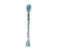 DMC 417F-4030 Color Variations Six Strand Embroidery Floss, 8.7-Yard, Monet's Garden