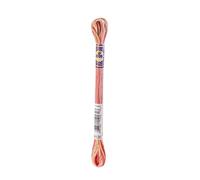 DMC 417F-4120 Color Variations Six Strand Embroidery Floss, 8.7-Yard, Tropical Sunset