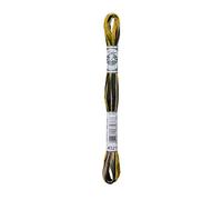 DMC Garn Embroidery Floss Coloris – 6-Strand Cotton 8.7 yd – Wide Open Spaces