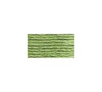 DMC: Cone Floss DMC 6-Strand Embroidery Cotton 100g Cone-Pistachio green Light,