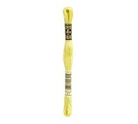 DMC 6-Strand Embroidery Cotton 8.7Yd-Light Tender Green