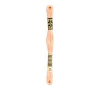 DMC 6-Strand Embroidery Cotton 8.7Yd-Shrimp