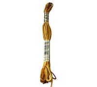 DMC 6-Strand Embroidery Cotton 8.7yd-Variegated Mustard
