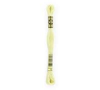 DMC 6-Strand Embroidery Cotton 8.7Yd-Very Light Tender Green