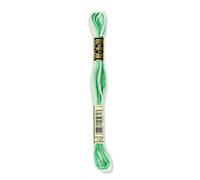 DMC Garn 6-Strand Embroidery Cotton Floss 8.7yd Variegated Seafoam Green
