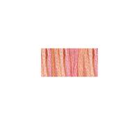 DMC Color Variations 6-Strand Embroidery Floss 8.7yd-Sunrise 417F-4110