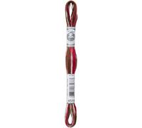 DMC Coloris 6-Strand Embroidery Cotton Floss 8.7yd-Black Forest