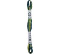 DMC Coloris 6-Strand Embroidery Cotton Floss 8.7yd-Spring -517-4506