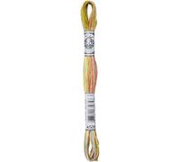 DMC Coloris Embroidery Thread Frosted Countryside