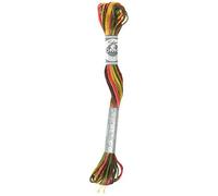 DMC Coloris Embroidery Thread Indian Summer