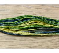 DMC Coloris Stranded Cotton Embroidery Thread 4506 Primavera - per Skein