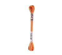 DMC Colour Variations Embroidery Thread 8 Metre Skein colour 4124