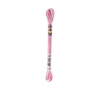 DMC Colour Variations Embroidery Thread 8 Metre Skein colour 4180