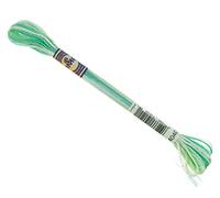 DMC Colour Variations Number 4040