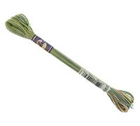 DMC Colour Variations Number 4065