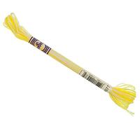 DMC Colour Variations Number 4077