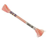 DMC Colour Variations Number 4110