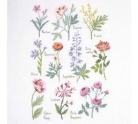 DMC Counted Cross Stitch Kit Botanical Sampler for Embroidery - Each