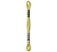 DMC Embroidery Floss Mouline Stranded Cotton Thread for Hand Embroidery and Sewing - Colour No: 165-1 x 8m Skein