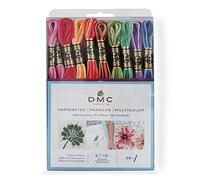 DMC F25PK36 Variegated Embroidery Floss, Assorted, 36-Pack