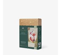 DMC Flossie Fox Punch Needle Kit