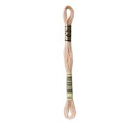 DMC Mouline floss/skein for sewing/embroidery - 8 metres - 950 - Desert Sand, Light