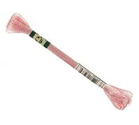 DMC Satin Thread Number S818