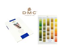 DMC Stranded Cotton Shade Card - W100B