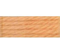DMC Tapestry & Embroidery Wool 8.8yd-Very Light Red Brown