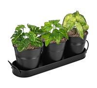 DMJJSD 3Pack Metal Plant Pots With Drip Tray, Herb Pots For Kitchen Windowsill, Herb Planter Outdoor/Indoor Herb Garden, Herb Pot Planter Set for Plants & Flowers Pot,Succulent Pots