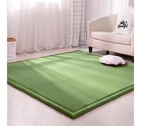 Dmkjdzsw Coral Velvet MatArea Rugs,Yoga Mat Exercise Pads,children'sLarge Foldable Play Mat, Extra Soft Activity Floor Mat Playroom Bedroom-F-100 * 150cm