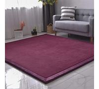 Dmkjdzsw Coral Velvet MatArea Rugs,Yoga Mat Exercise Pads,children'sLarge Foldable Play Mat, Extra Soft Activity Floor Mat Playroom Bedroom-A-60 * 100cm