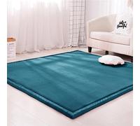 Dmkjdzsw Coral Velvet MatArea Rugs,Yoga Mat Exercise Pads,children'sLarge Foldable Play Mat, Extra Soft Activity Floor Mat Playroom Bedroom-G-60 * 100cm