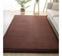 Dmkjdzsw Crawling Mat for Baby Non-slip，Nursery Rug，Coral Velvet Area Rugs，2cm Thick Kids Carpet-Brown-100 * 200cm