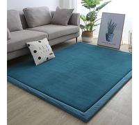 Dmkjdzsw Crawling Mat for Baby Non-slip，Nursery Rug，Coral Velvet Area Rugs，2cm Thick Kids Carpet-Lake Blue-80 * 100cm