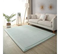 Dmkjdzsw Crawling Mat for Baby Non-slip，Nursery Rug，Coral Velvet Area Rugs，2cm Thick Kids Carpet-Sky Blue-100 * 200cm