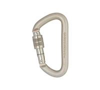 Dmm 12mm Offset D Steel Screwgate - One Size