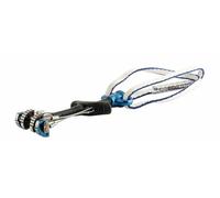 DMM Dragon Cam, Trad Climbing, Trad Rack, Sizes 00 - 8