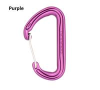 DMM Spectre 2 / Carabiner / Climbing / Lightweight