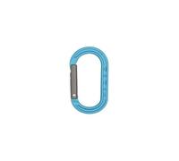 Dmm XSRE Mini Accessory Carabiner, green