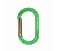 Dmm XSRE Mini Accessory Carabiner, green