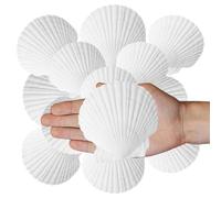 Dmnnlp 25 Pcs Scallop Shells, White Natural Seashell, 5cm -11cm Scallops for Fish Tank Beach Themed Party Home Wedding DIY Crafts Decorations
