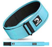 DMoose Fitness Auto Locking gym belts, Provides Lumbar Support & Stability 4'' Nylon weight belt lifting women with Adjustable Buckle, workout back belts for men, Cyan
