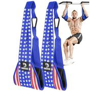 DMoose Fitness Hanging Ab Straps for Pull Up Bar & Core Strength Training-Soft Padded Exercise Straps for Ab Swing & Leg Raises, Hang Bar Strap with 2 Steel Carabiners - Abs Equipment for Home & Gym